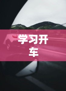 学习开车