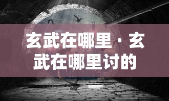 玄武在哪里 · 玄武在哪里讨的封号