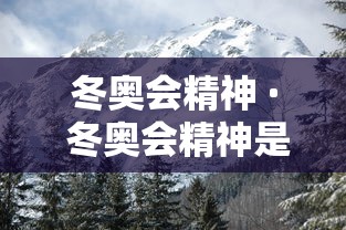 冬奥会精神 · 冬奥会精神是一种怎样的精神