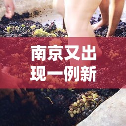 南京又出现一例新冠病毒 · 南京有1例新型肺炎病例
