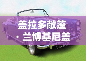 盖拉多敞篷 · 兰博基尼盖拉多敞篷