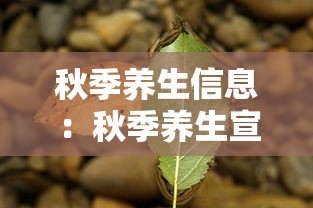 秋季养生信息：秋季养生宣传栏