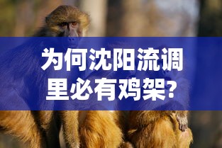 为何沈阳流调里必有鸡架?:流调 沈阳 为何沈阳流调里必有鸡架?:流调 沈阳