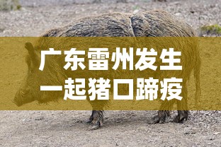 广东雷州发生一起猪口蹄疫疫情:雷州猪肉最近新闻 广东雷州发生一起猪口蹄疫疫情:雷州猪肉最近新闻