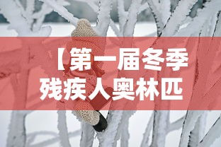【第一届冬季残疾人奥林匹克运动会 → 第一届冬季残疾奥运会是哪一年】