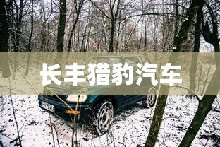 长丰猎豹汽车
