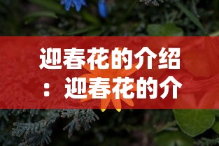 迎春花的介绍：迎春花的介绍和寓意