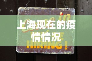 上海现在的疫情情况