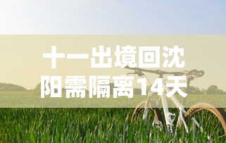 十一出境回沈阳需隔离14天：沈阳十一出沈要求
