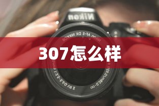 307怎么样