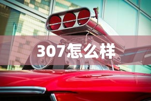 307怎么样