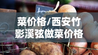 菜价格/西安竹影溪弦做菜价格