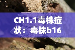 CH1.1毒株症状:毒株b1617