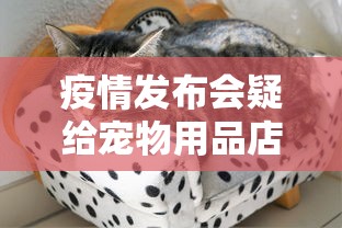 疫情发布会疑给宠物用品店打广告 · 宠物店打广告发朋友圈