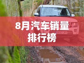8月汽车销量排行榜