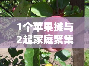 1个苹果摊与2起家庭聚集性疫情