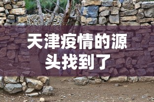 天津疫情的源头找到了 天津疫情的源头找到了