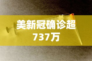 美新冠确诊超737万
