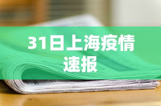 31日上海疫情速报 31日上海疫情速报