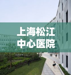 上海松江中心医院疫情/松江中心医院疫情行动轨迹 上海松江中心医院疫情/松江中心医院疫情行动轨迹