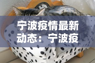 宁波疫情最新动态：宁波疫情最新公布