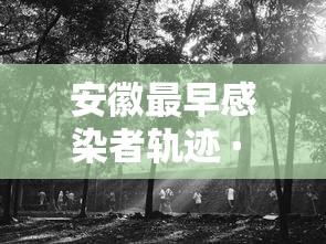 安徽最早感染者轨迹 · 安徽最初2名感染者或非零号病人