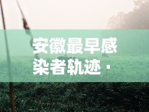 安徽最早感染者轨迹 · 安徽最初2名感染者或非零号病人