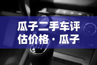 瓜子二手车评估价格 · 瓜子二手车评估价格查询
