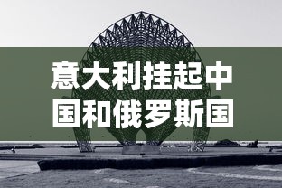 意大利挂起中国和俄罗斯国旗 · 意大利没挂中国国旗