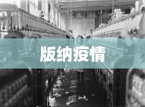 版纳疫情