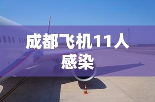 成都飞机11人感染