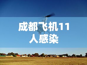 成都飞机11人感染
