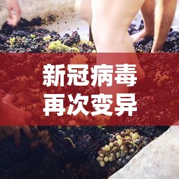 新冠病毒再次变异 · 新冠病毒变异了几次了