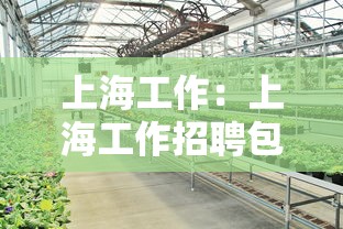上海工作:上海工作招聘包吃住 上海工作:上海工作招聘包吃住