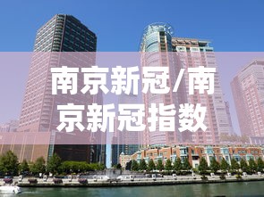 南京新冠/南京新冠指数