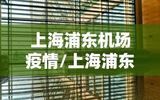 上海浦东机场疫情/上海浦东机场疫情防控措施