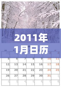 2011年1月日历/2011111