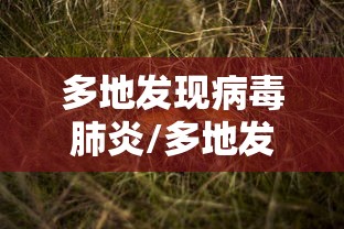 多地发现病毒肺炎/多地发现新冠病毒