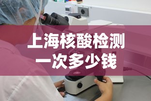 上海核酸检测一次多少钱