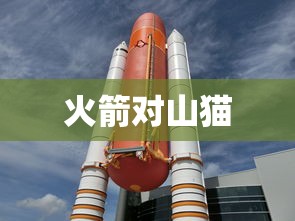 火箭对山猫