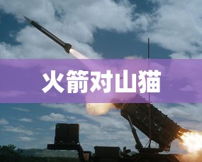 火箭对山猫