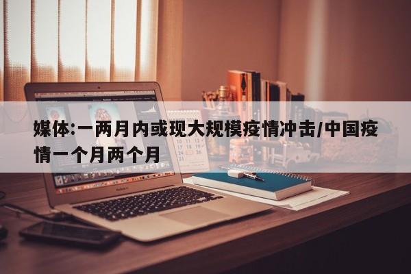 媒体:一两月内或现大规模疫情冲击/中国疫情一个月两个月
