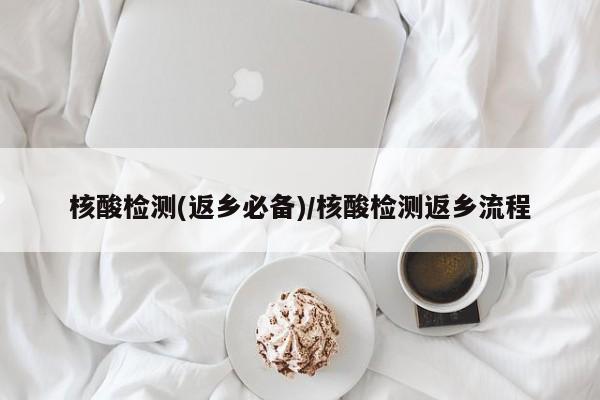 核酸检测(返乡必备)/核酸检测返乡流程