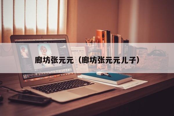 廊坊张元元(廊坊张元元儿子)