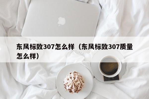 东风标致307怎么样(东风标致307质量怎么样)